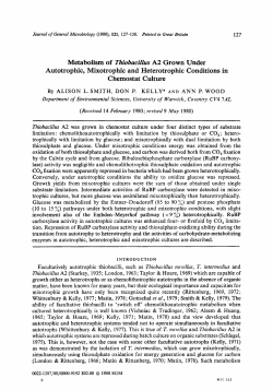 Metabolism of Thiobacillus A2 Grown Under Autotrophic