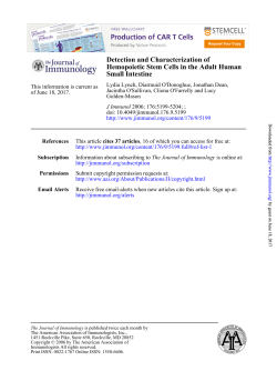Small Intestine Hemopoietic Stem Cells in the Adult Human