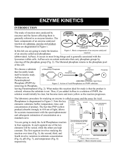 ENZYME KINETICS