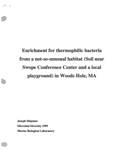 Enrichment for thermophilic bacteria from a not-so