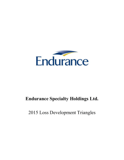 2015 Global Loss Triangles