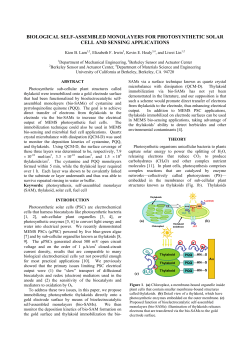 biological self-assembled monolayers for photosynthetic solar cell