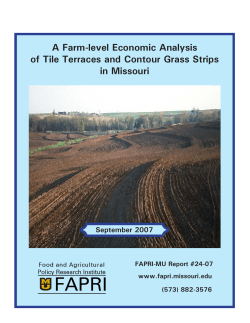 A Farm-level Economic Analysis of Tile Terraces and Contour Grass