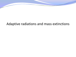 Adaptive radiations and mass extinctions