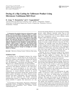 Drying of a Slip Casting for Tableware Product Using Microwave