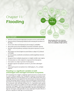 Flooding - Garland Science