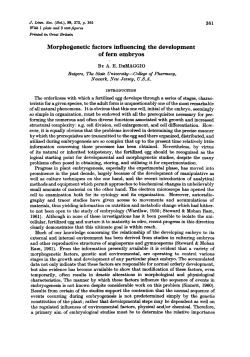 Morphogenetic factors influencing the development of fern embryos