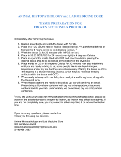 Protocol for Frozen Sectioning Preparation