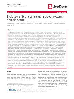 Evolution of bilaterian central nervous systems: a