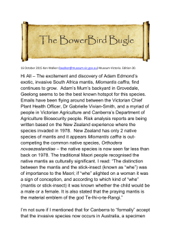 Edition 30 - Museums Victoria