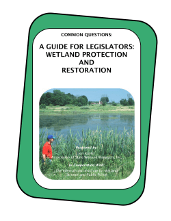 A Guide for Legislators: Wetland Protection and Restoration