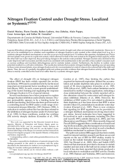Nitrogen Fixation Control under Drought Stress