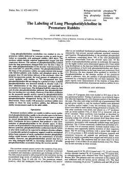 The Labeling of Lung Phosphatidylcholine in Premature