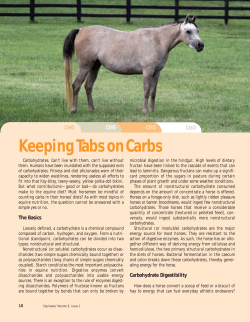 KeepingTabsonCarbs