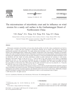 The microstructure of microbiotic crust and its influence on wind