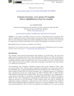 Echiodon prionodon, a new species of Carapidae