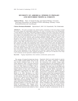 diversity of arboreal spiders in primary and disturbed tropical forests
