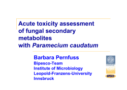 Paramecium caudatum - The School of Life Sciences at Sussex