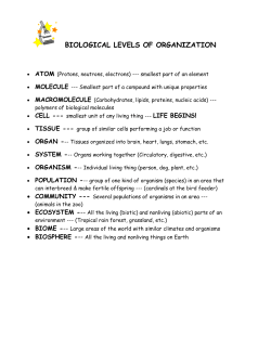 3.00_Biological Levels of Organization Notes
