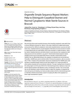 Organelle Simple Sequence Repeat Markers Help to Distinguish
