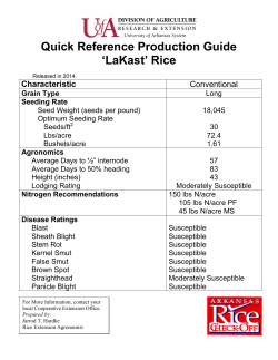 Quick-Reference Production Guide Banks Rice