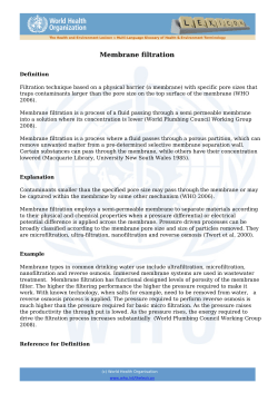 who the lexicon - World Health Organization