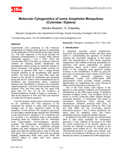 Molecular Cytogenetics of some Anopheles Mosquitoes