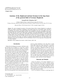 Anatomy of the diaphyseal nutrient foramen in the long bones of the