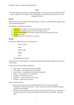 The wide range of movements, continual absorption of shocks and