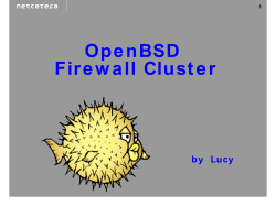 OpenBSD Security