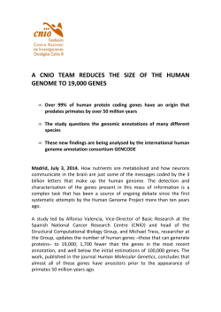 CNIO group reduces the size of the human genome to 19,000 genes