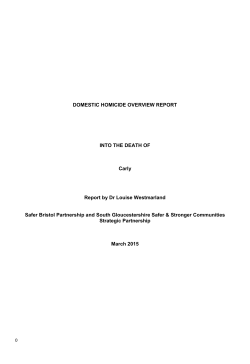 Overview Report - Bristol Against Violence and Abuse