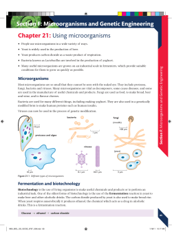 Biology Revision Guide Chapter 8 - Pearson Schools and FE Colleges