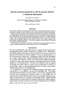 The fine structure produced in cells by primary fixatives 2. Potassium