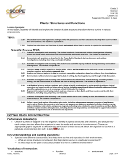 Plants Structures and Functions