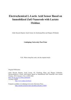 Electrochemical L-Lactic Acid Sensor Based on Immobilized