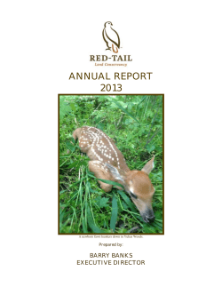 2013 annual report - Red