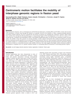 Centromeric motion facilitates the mobility of interphase genomic