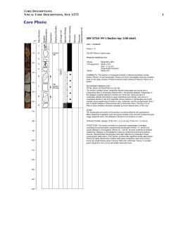 LEG 209 CORE DESCRIPTIONS, SITE 1272