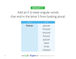 Add an E to keep singular words that end in the