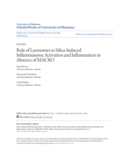Role of Lysosomes in Silica-Induced Inflammasome Activation and