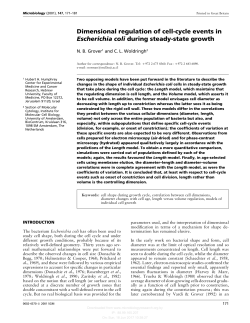 Dimensional regulation of cell-cycle events in