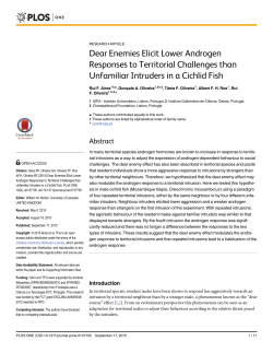 Dear Enemies Elicit Lower Androgen Responses