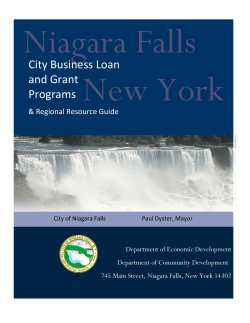 City Business Loan and Grant Programs