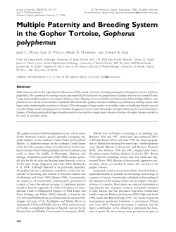 Multiple Paternity and Breeding System in the Gopher Tortoise