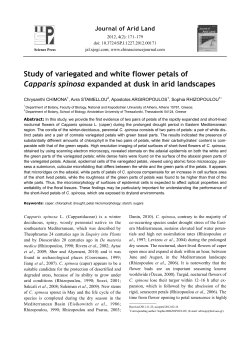 Study of variegated and white flower petals of Capparis spinosa