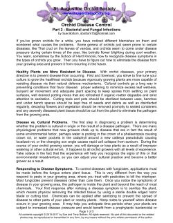 Bacterial and Fungal Infections