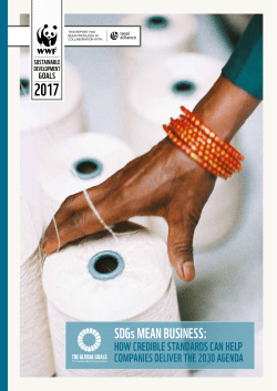 SDGs mean business - How credible standards can help companies