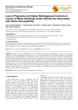 Loss of Pigments and Higher Methylglyoxal Contents in Leaves of