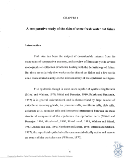 A comparative study of the skin of some fresh water